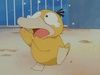 psyduck2828